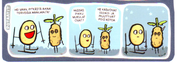 hiihtopottu